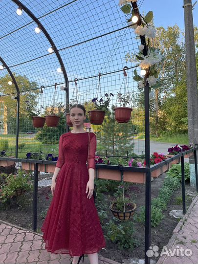 Вечернее, выпускное платье isabel garcia