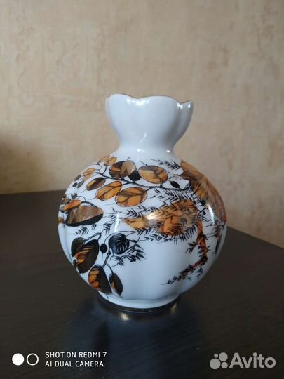 Фарфоровая посуда: лфз, Полонное