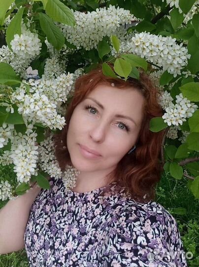 Создаю и продвигаю сайты с гарантией результата