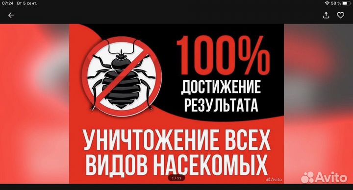 Обработка от комаров и т.д