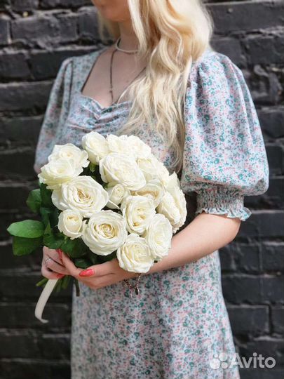 101 Роза/51 Роза/31 Роза/21Роза/15 Роз