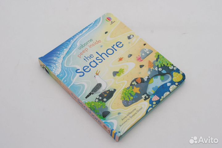 Peep inside the seashore