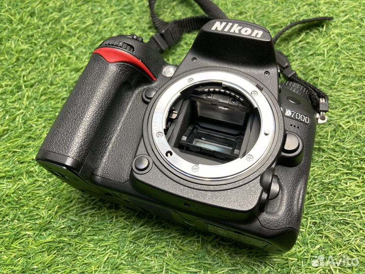 Nikon D7000 (8.000 кадров)