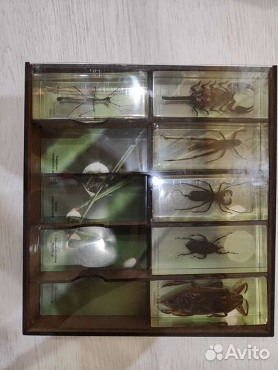 Коллекция жуков DeAgostini