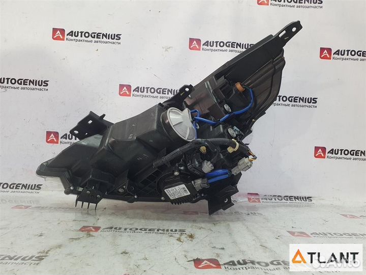 Фара передняя правая nissan teana