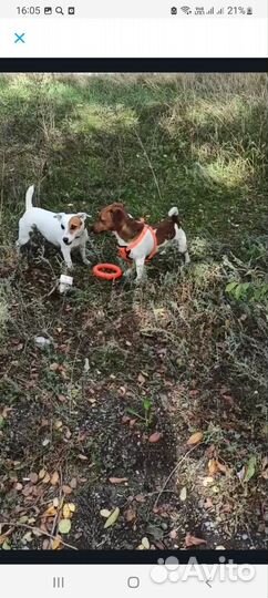 Милая девочка