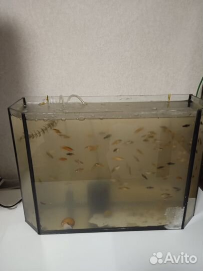 Аквариум 15л