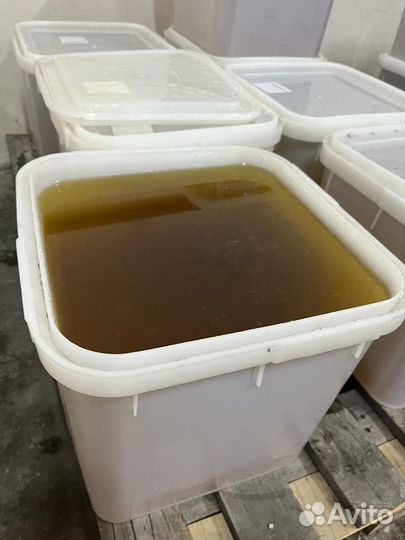 Мед оптом свежая качка эспарцет