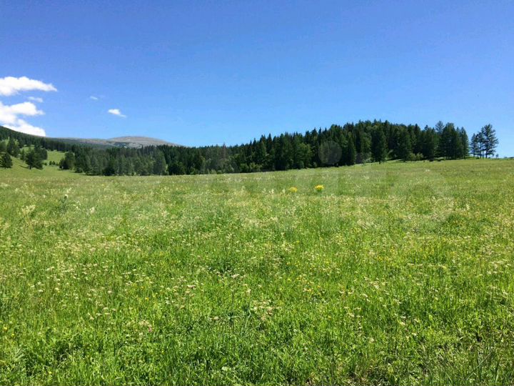 Участок 5,4 га (СНТ, ДНП)