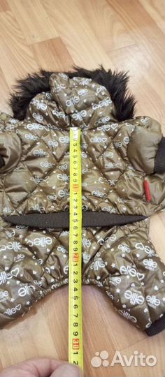 Одежда для собак мелких пород