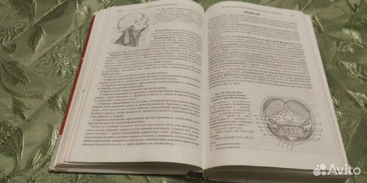 Анатомия человека М Г Привес