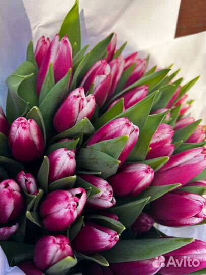 Тюльпаны к 8 марта опт, розница