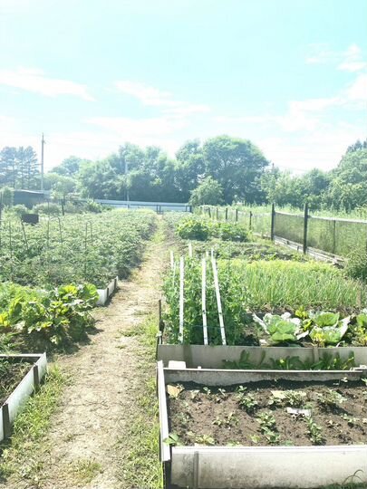 Дом 45 м² на участке 13 сот.