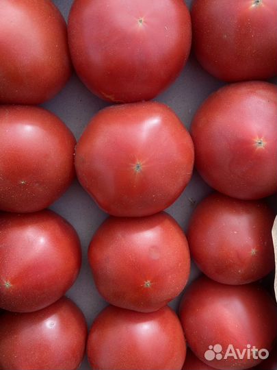Помидоры азербайджан 16 кг ящик