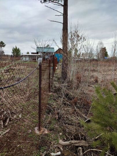 Участок 12,5 сот. (СНТ, ДНП)