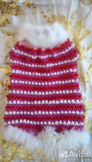 Одежда для животных, игрушки