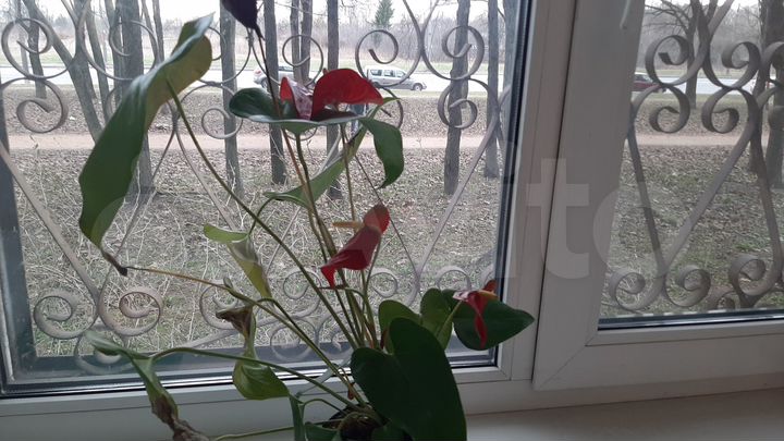 3-к. квартира, 61,6 м², 1/9 эт.