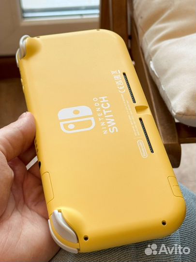 Nintendo switch lite