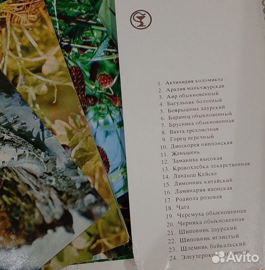 Наборы открыток -Грибы,Пряные,Лекарств.травы и др