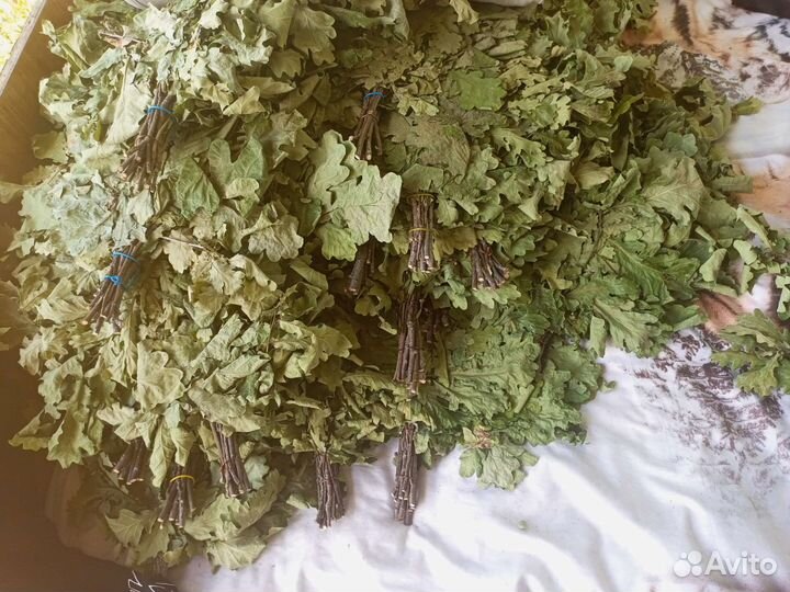 Шикарные Веники 2023г,дубовые, березывые для бани