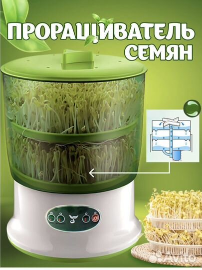 Проращиватель семян
