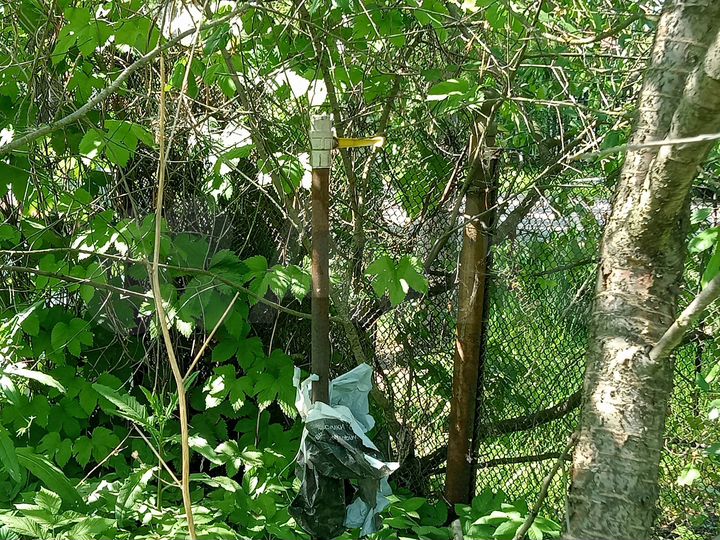 Дом 58 м² на участке 12 сот.