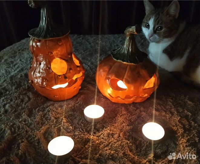 Ночник тыква