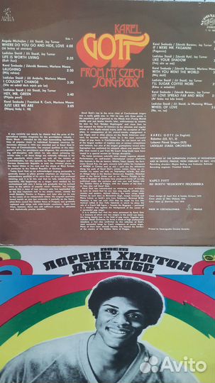 Виниловые пластинки