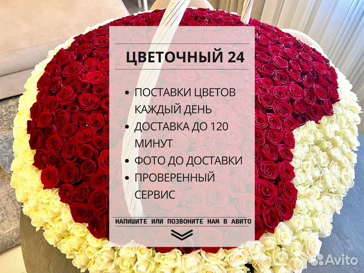 Подсолнух в наличии