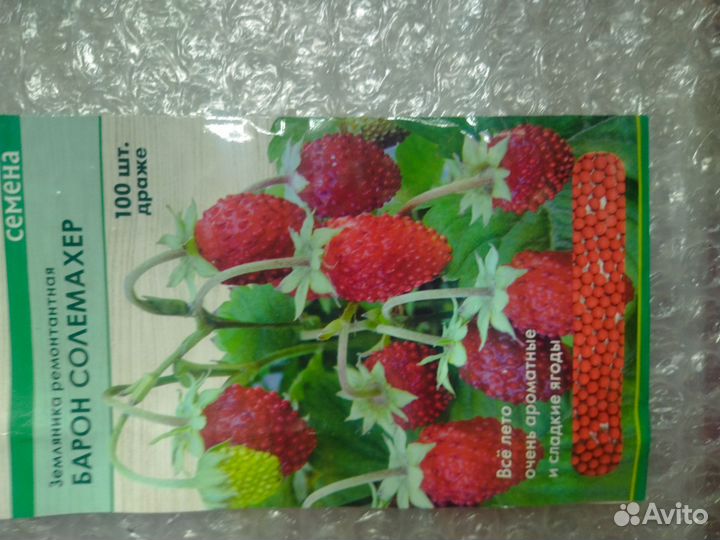 Ремонтантная земляника