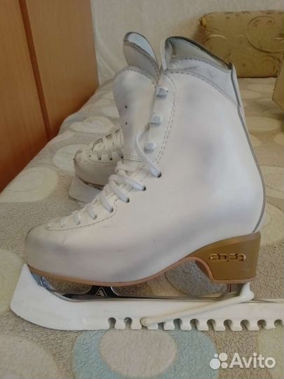 Коньки Edea motivo