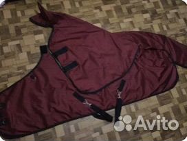 Конная амуниция