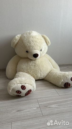 Плюшевый медведь