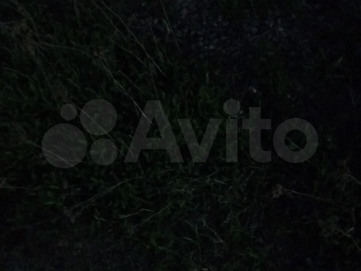 Участок 4 сот. (СНТ, ДНП)