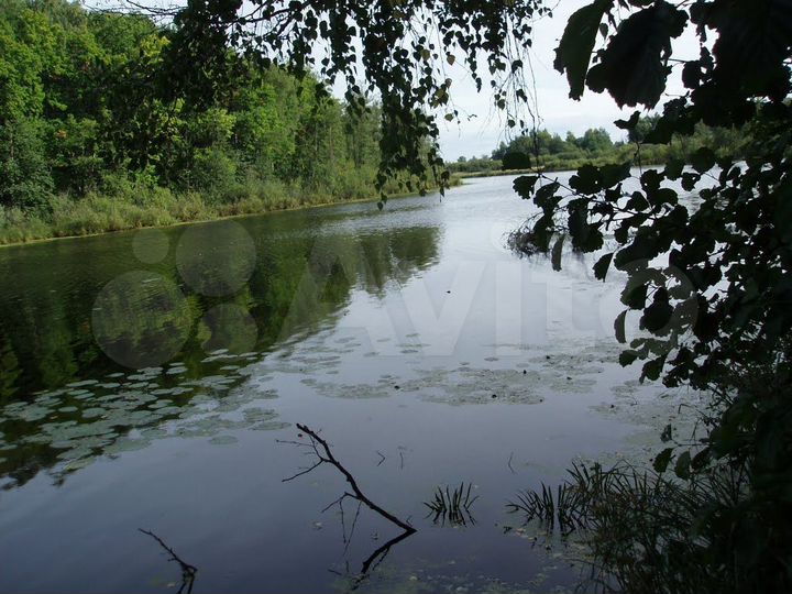 Участок 4,2 га (СНТ, ДНП)