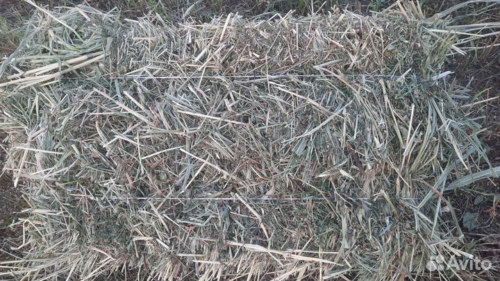 Сено в квадратных тюках