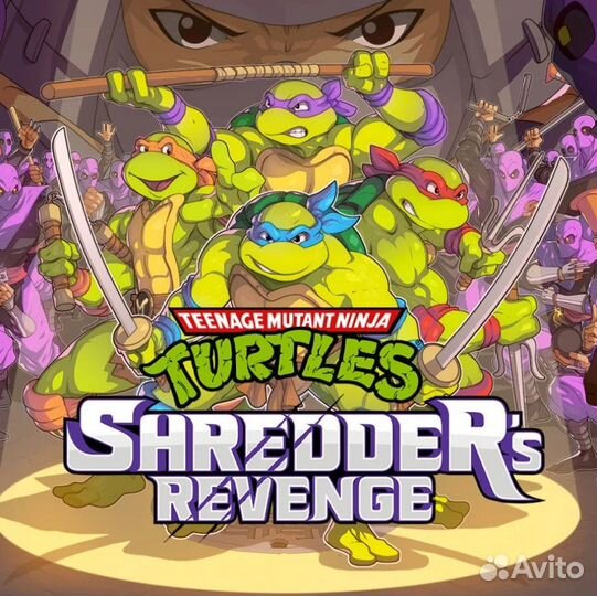 Teenage Mutant Ninja Turtles: Shredder's Revenge