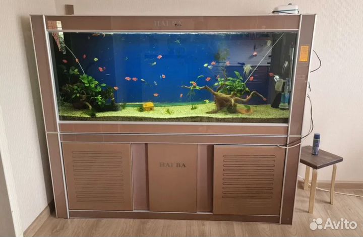 Аквариумные
