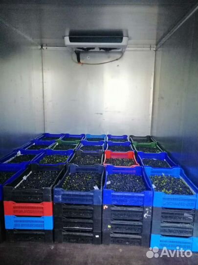 Грузоперевозки Газель, заказ газели