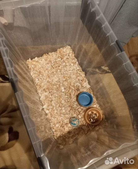 Переноска, террариум, контейнер для животных