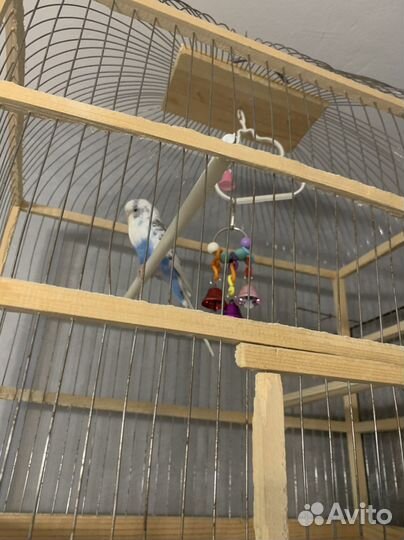 Клетка для птиц