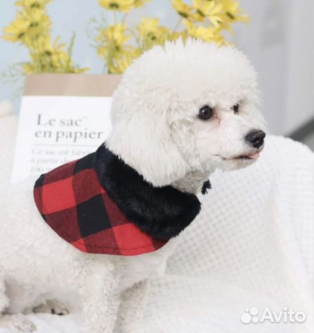 Новогодний костюм для собаки