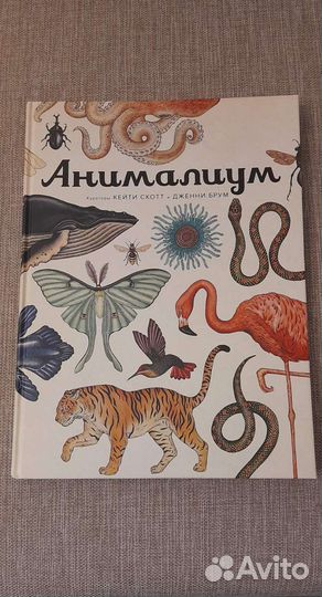 Различные книги (Анималиум, Винни пух, Океаны)