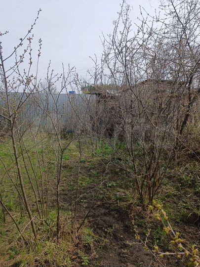 Дача 30 м² на участке 6 сот.