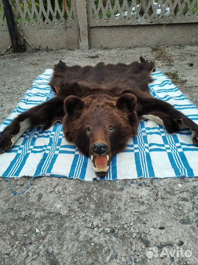 Шкура медведя (имитация)