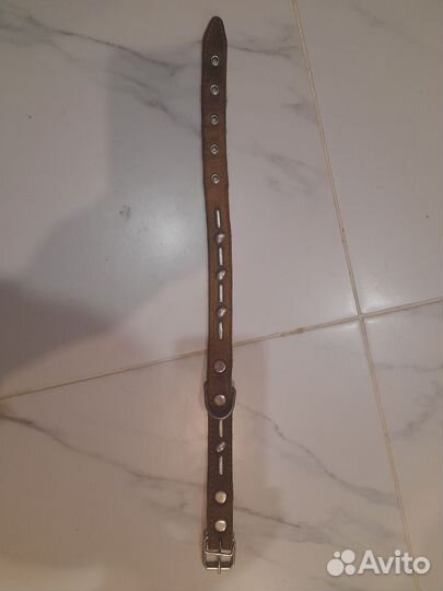 Ошейник для собак