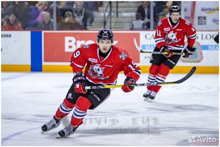 Тренировки по хоккею