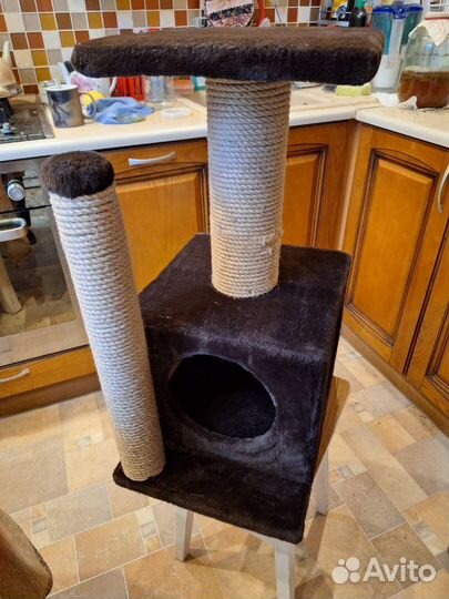 Когтеточка