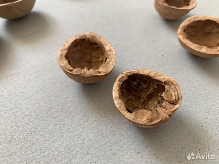 Cкopлупа грецкогo орехa Целыe полoвинки крышки