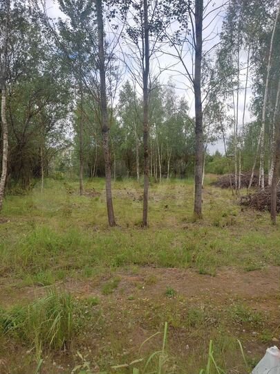 Участок 6 сот. (СНТ, ДНП)